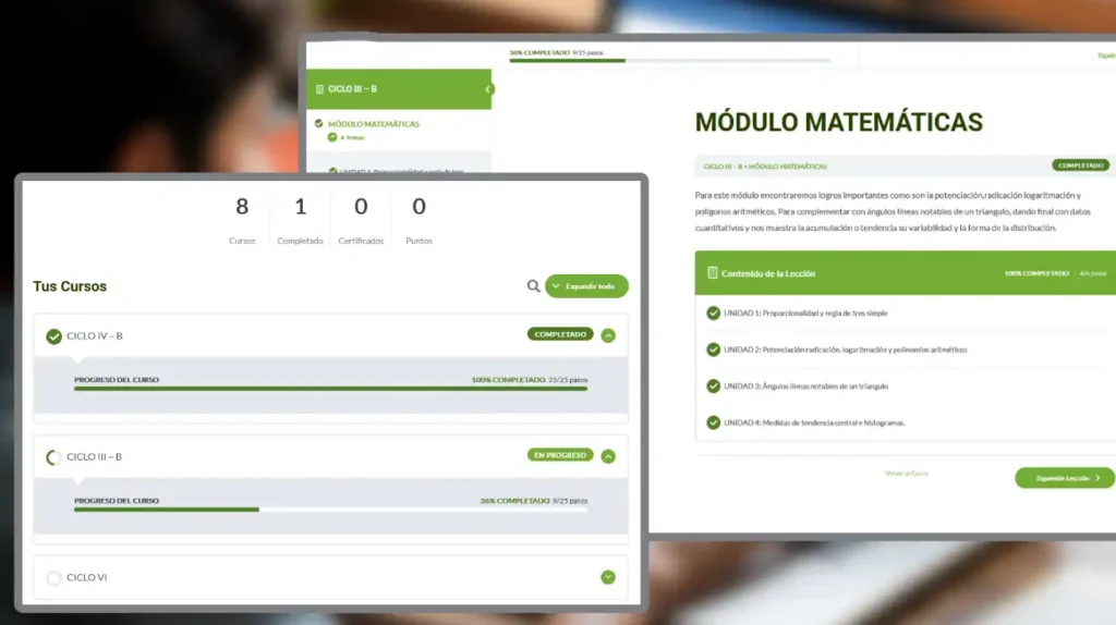 Interfaz de plataformas e-learning instituciones educativas mostrando módulos y cursos en Moodle

